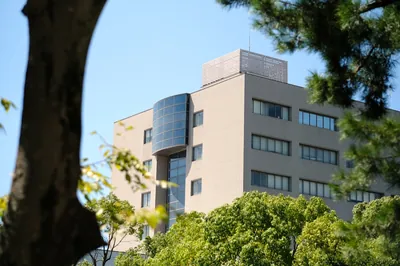 Schools & Universities